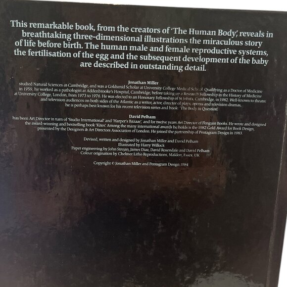 BOOK The Facts of Life 3D Pop-up Book Pregnancy Birth Conception Family - Picture 6 of 7